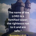 Proverbs 18:10 Bible Verse Image